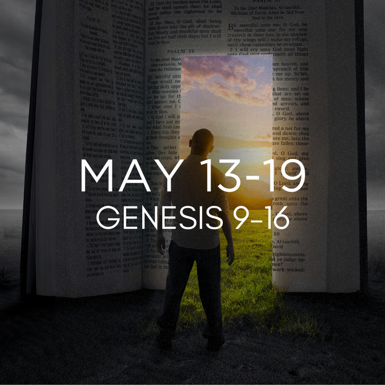 Genesis 9-16