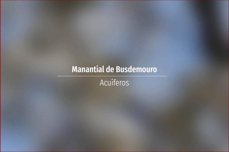 Manantial de Busdemouro