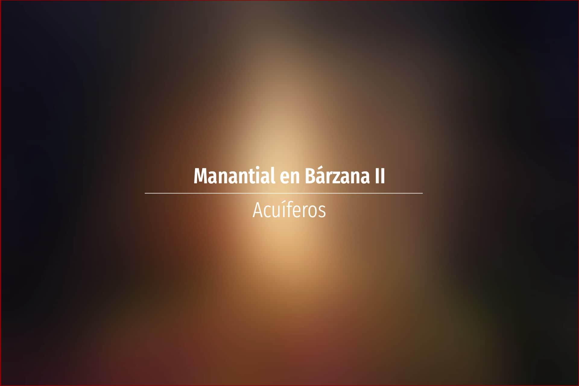 Manantial en Bárzana II