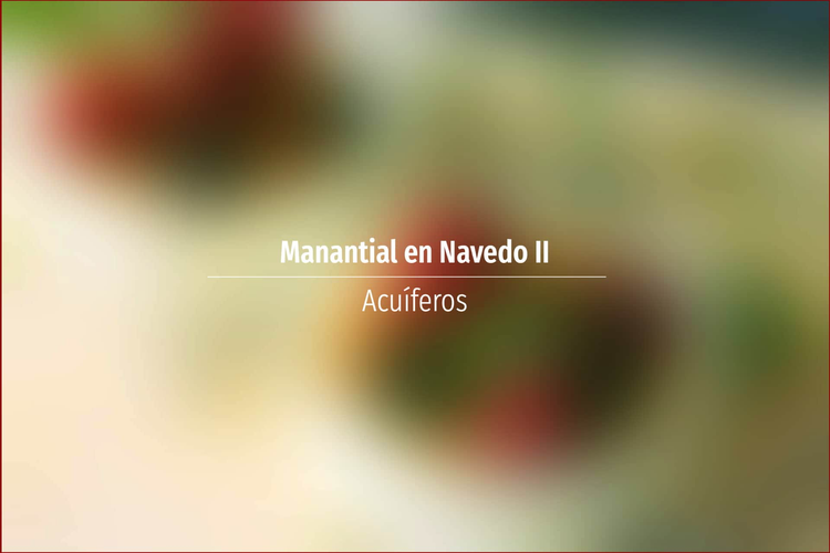 Manantial en Navedo II