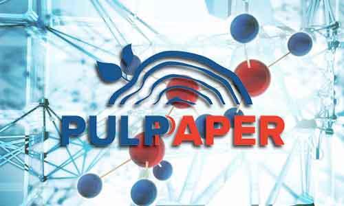Renewed PULPAPER 10-11 April 2024 invests in effective meetings