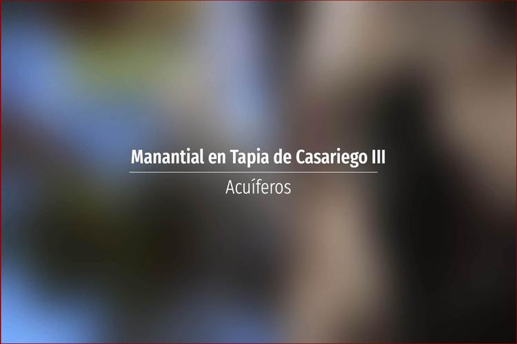 Manantial en Tapia de Casariego III