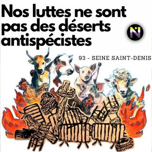 Nos luttes ne sont pas des déserts antispécistes