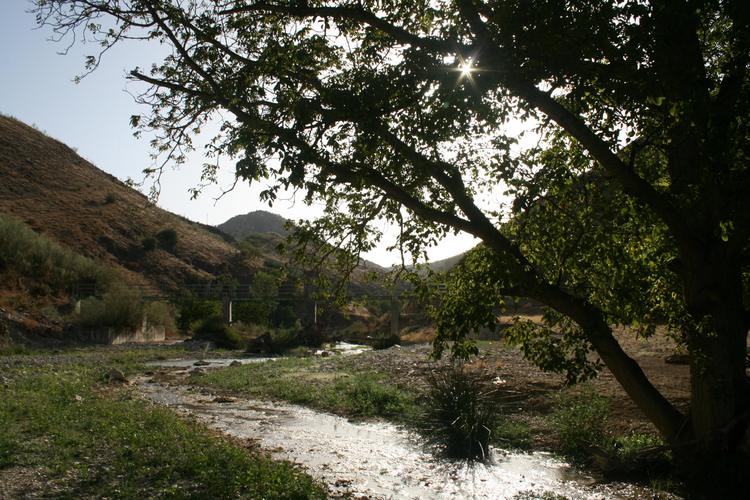 4. Route of the Rivers and their habitats.