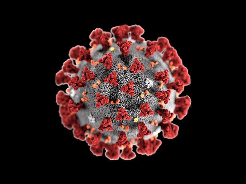 Coronavirus Resources & Links