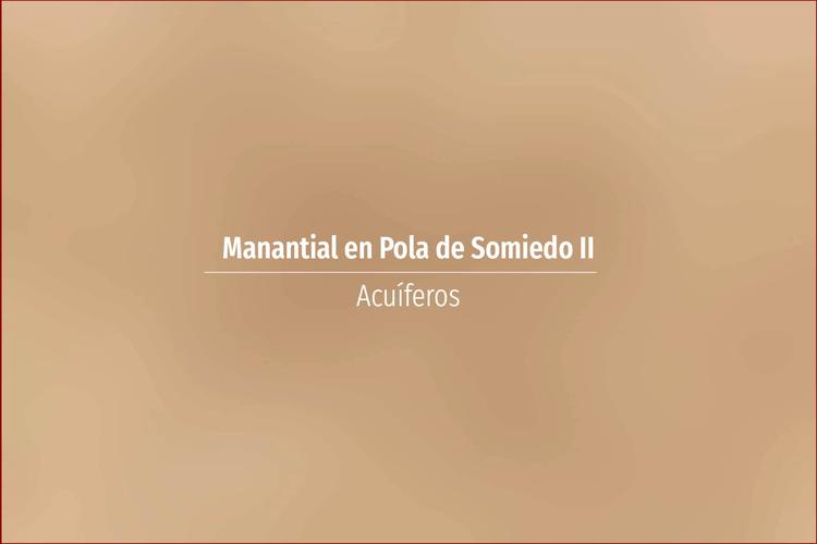 Manantial en Pola de Somiedo II