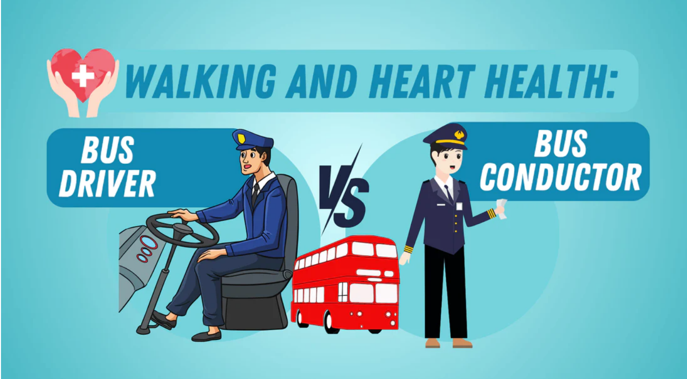 Walking and Heart Health: Bus Drivers versus Bus Conductors