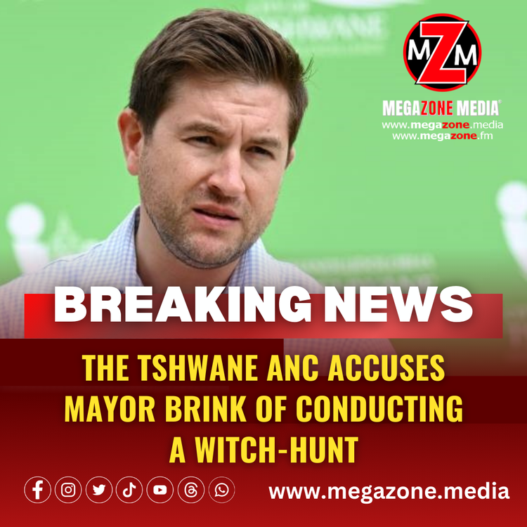 The Tshwane ANC accuses Mayor Brink of conducting a witch-hunt.