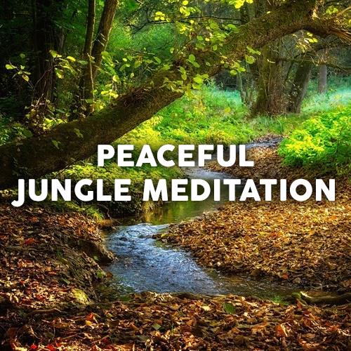 Peaceful Jungle Relaxation Sleep Journey 