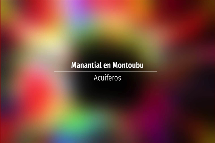 Manantial en Montoubu
