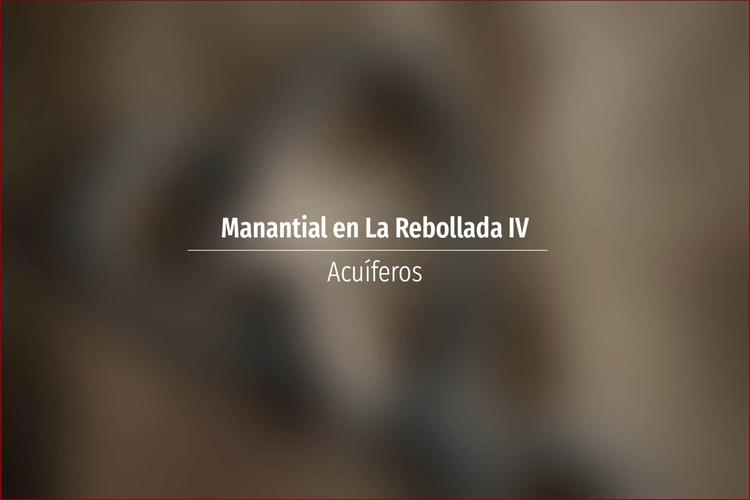Manantial en La Rebollada IV