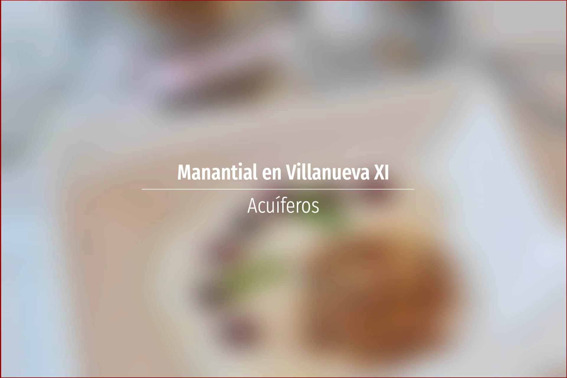 Manantial en Villanueva XI