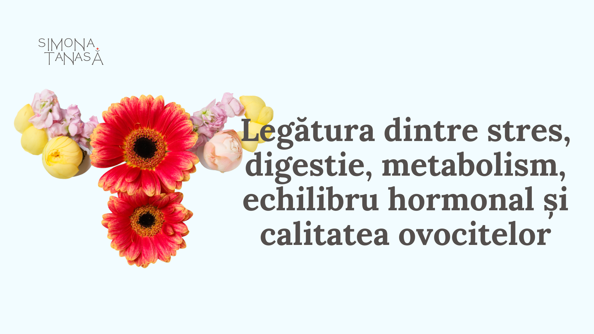 Legătura dintre stres, digestie, metabolism, echilibru hormonal și calitatea ovocitelor