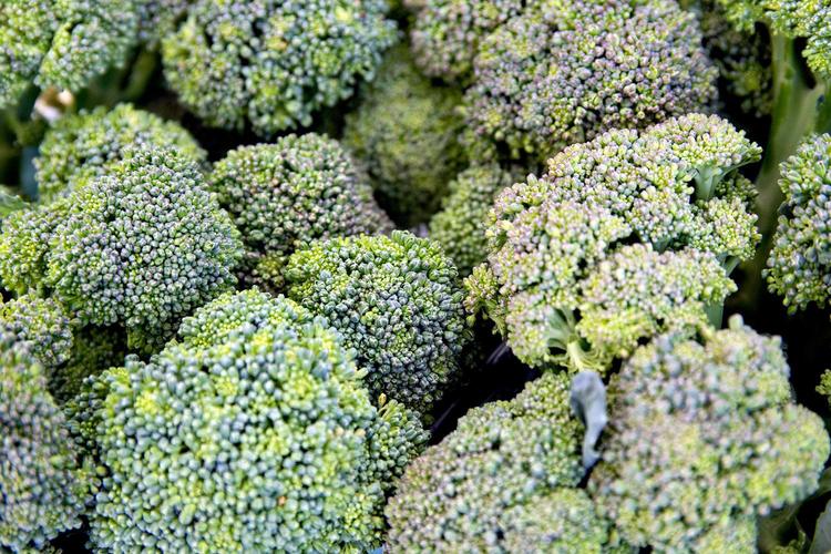 Broccoli