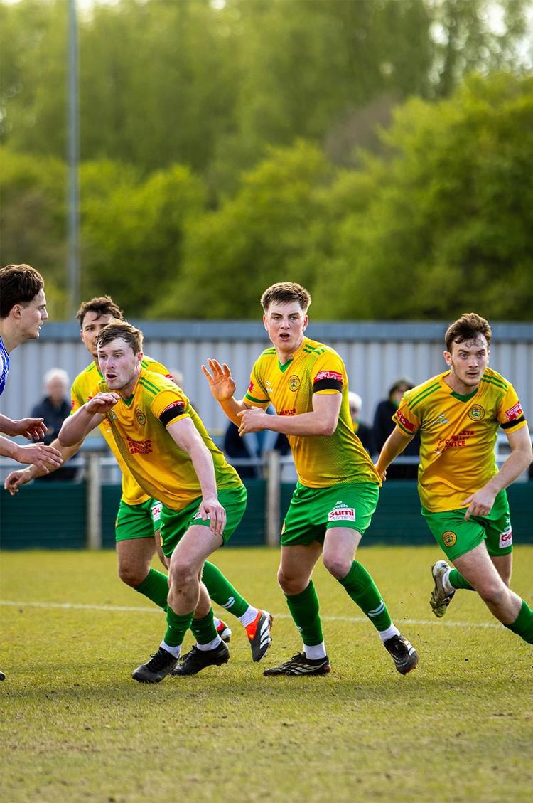Linnets seek the perfect birthday present