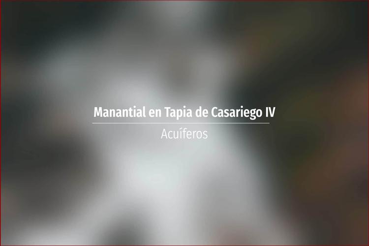Manantial en Tapia de Casariego IV