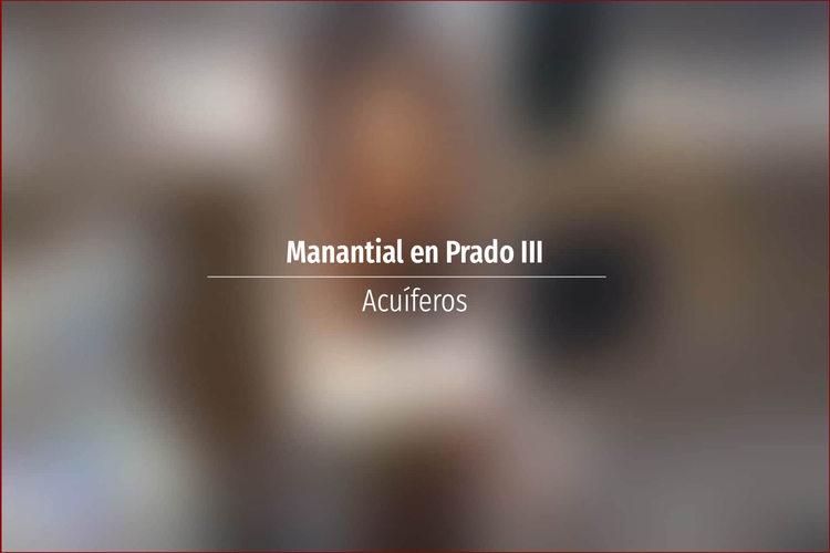 Manantial en Prado III