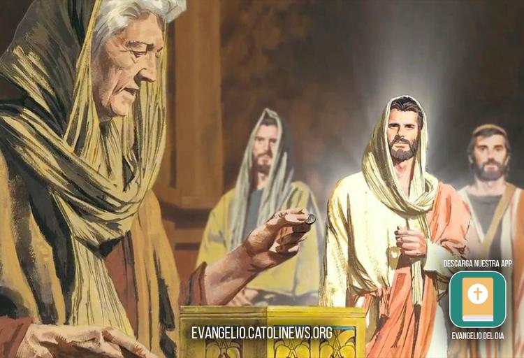 Evangelio y Meditación del día 10 de Junio de 2023, Lectura del santo evangelio según San Marcos 12,38-44