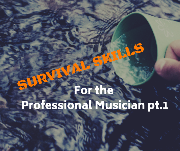 Survival Tips for Professional Musicians Part 1