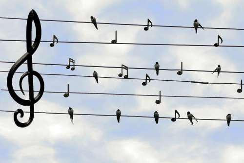 Atelier Vocal