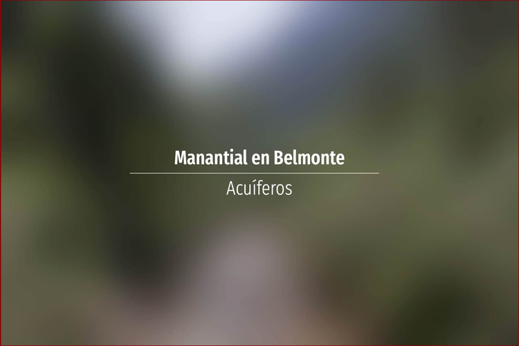 Manantial en Belmonte