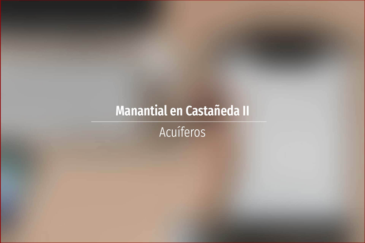 Manantial en Castañeda II