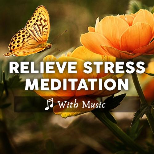 Guided Meditation for Beginners to Relieve Stress and Anxiety - With Music