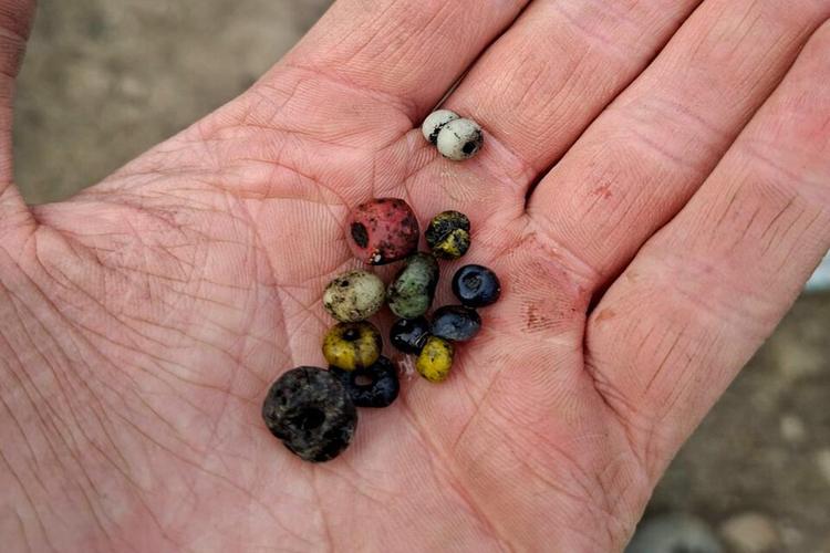 Beads and burnt bones unearthed at major Iron Age burial site in Sweden