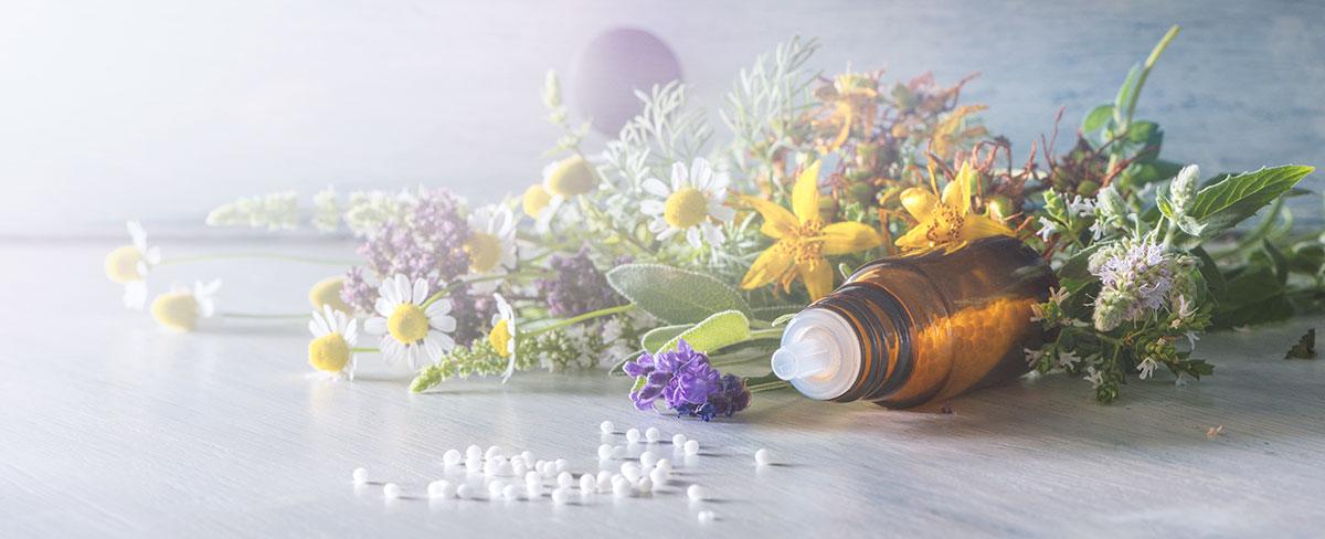  Floritherapie versus Homeopathie