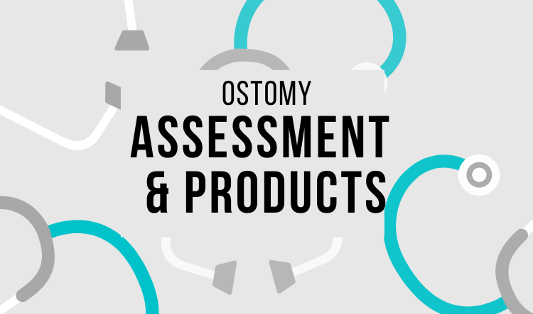 Assessment & Products