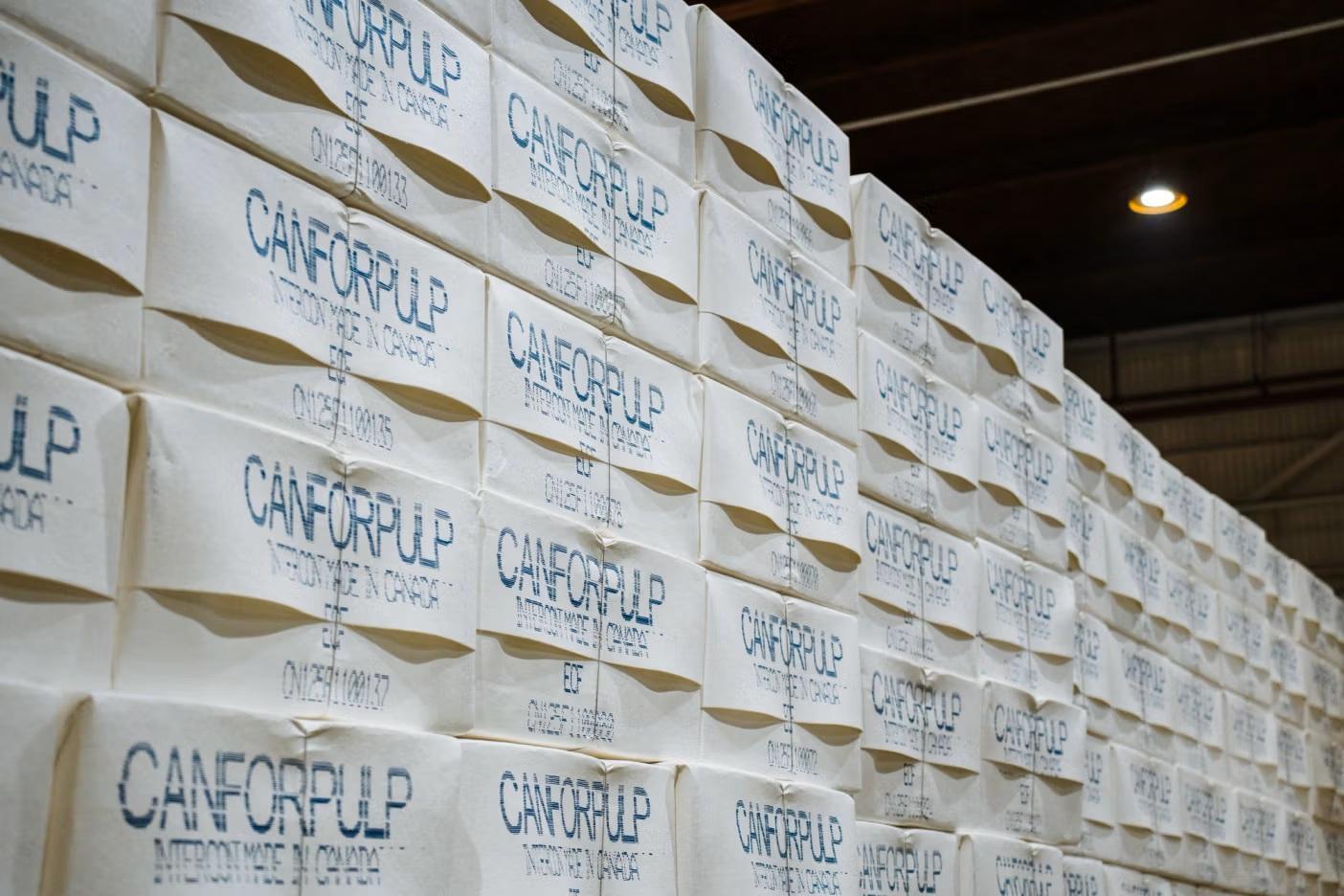 Canfor announces closure of Northwood Pulp Mill in British Columbia