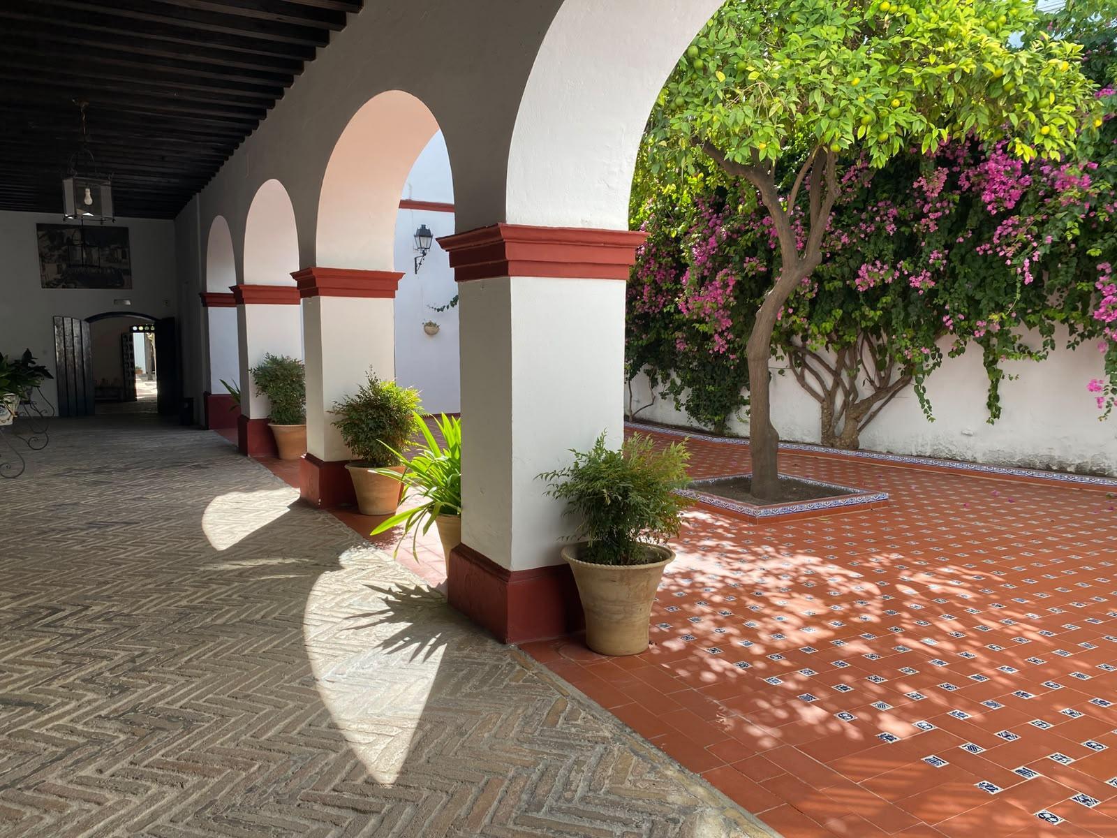 Jonás Coronilla presenta en Lebrija Una estancia irreal tras agotar su primera tirada