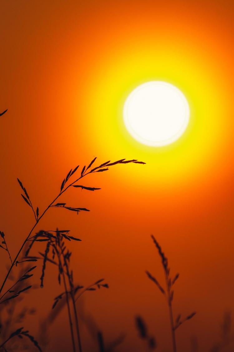 Genesis/ Light And Order : Genesis 1:1-5 