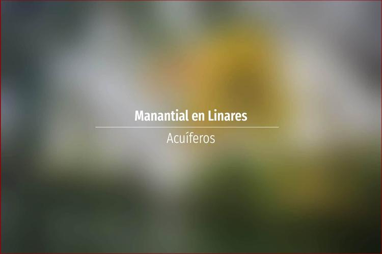 Manantial en Linares