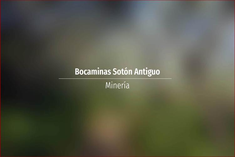 Bocaminas Sotón Antiguo