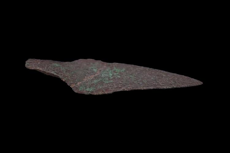 Rare copper dagger found in Polish forest