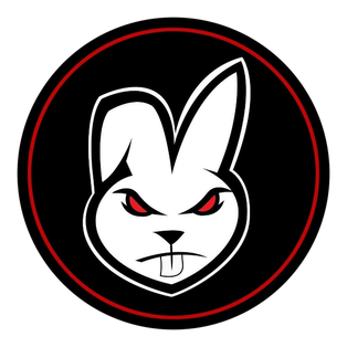DJ RABBIT _رعد الناصري - مالك شغل بيا 