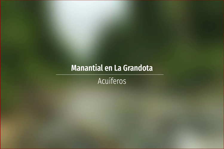 Manantial en La Grandota