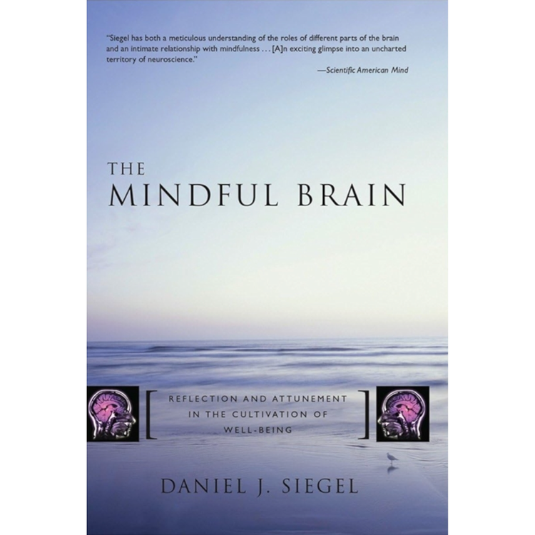 Sampul The Mindful Brain