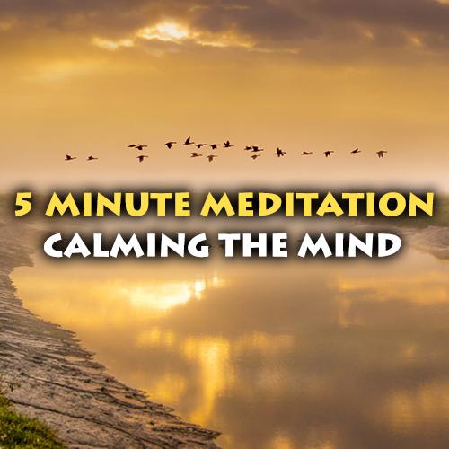 5 Minute Calming Guided Meditation - Calm The Mind