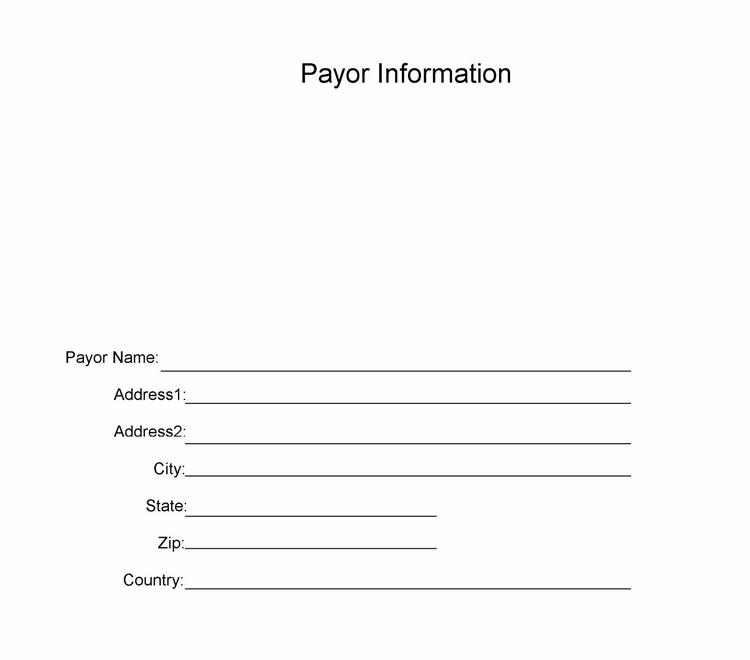 PLANILLA PAYOR INFORMATION