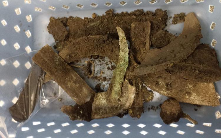 Hoard discovery could be ritual offering