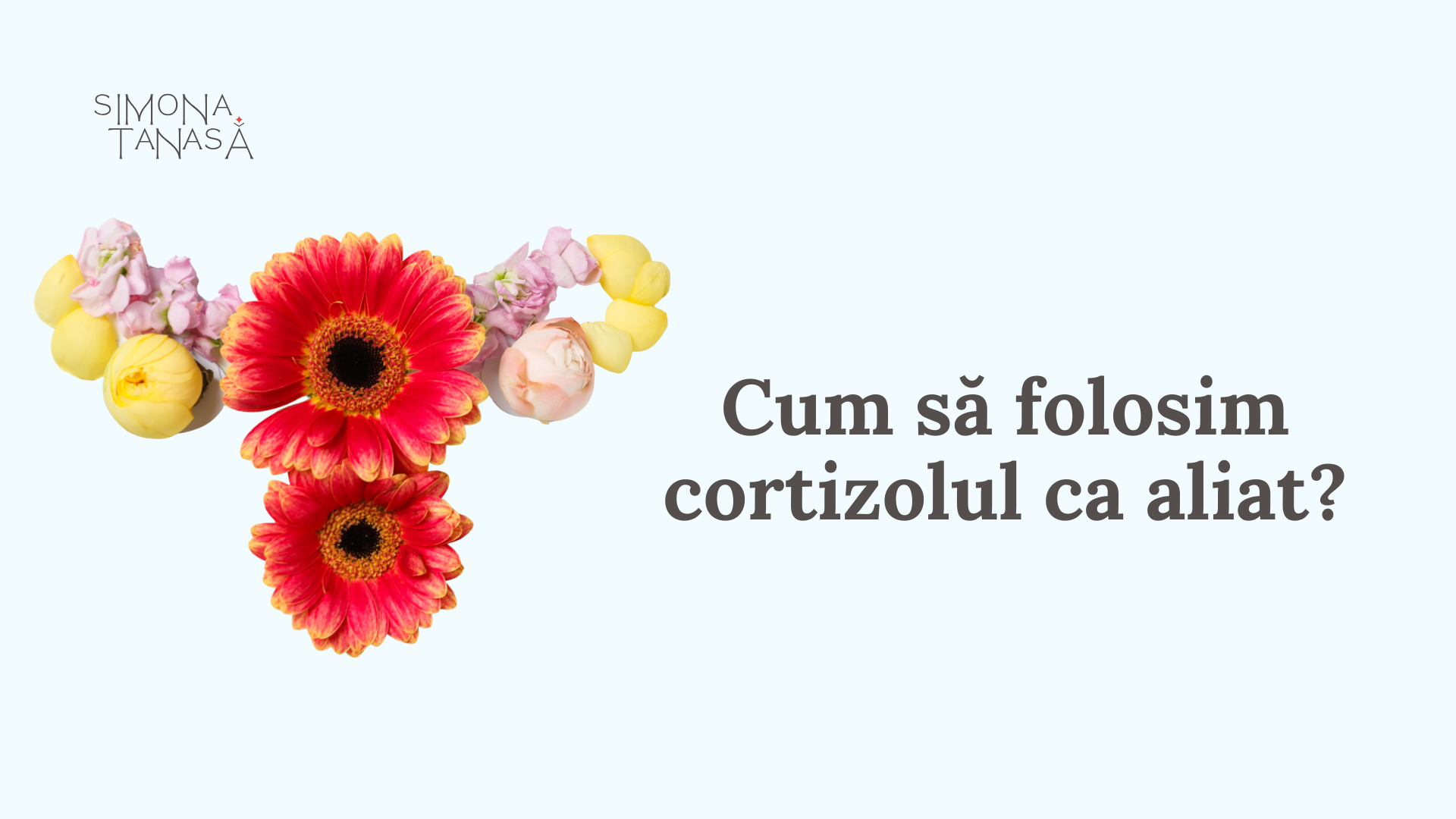 Cum să folosim cortizolul ca aliat?