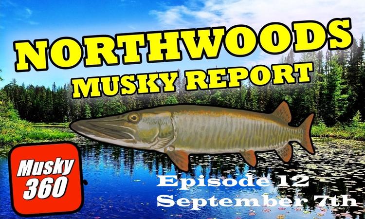 Northwoods Fishing Report : Sept 7th