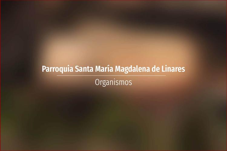 Parroquia Santa María Magdalena de Linares
