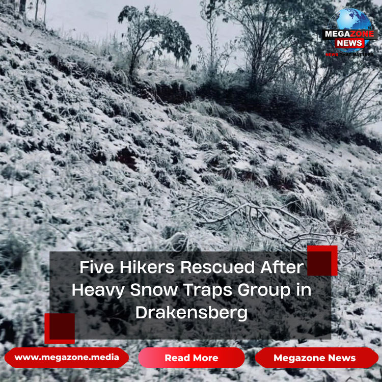 Five Hikers Rescued After Heavy Snow Traps Group in Drakensberg