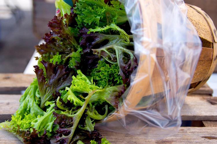 Salad Greens