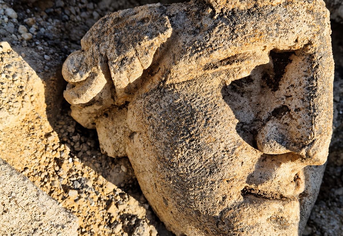 Rare Roman sculptures discovered at vast ancient sanctuary in Chartres
