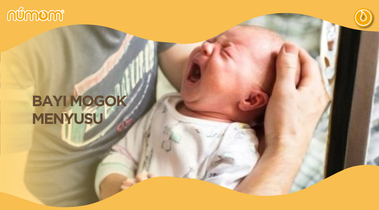 BAYI MOGOK MENYUSU