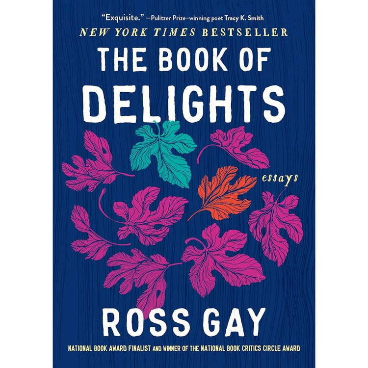 Sampul The Book of Delights